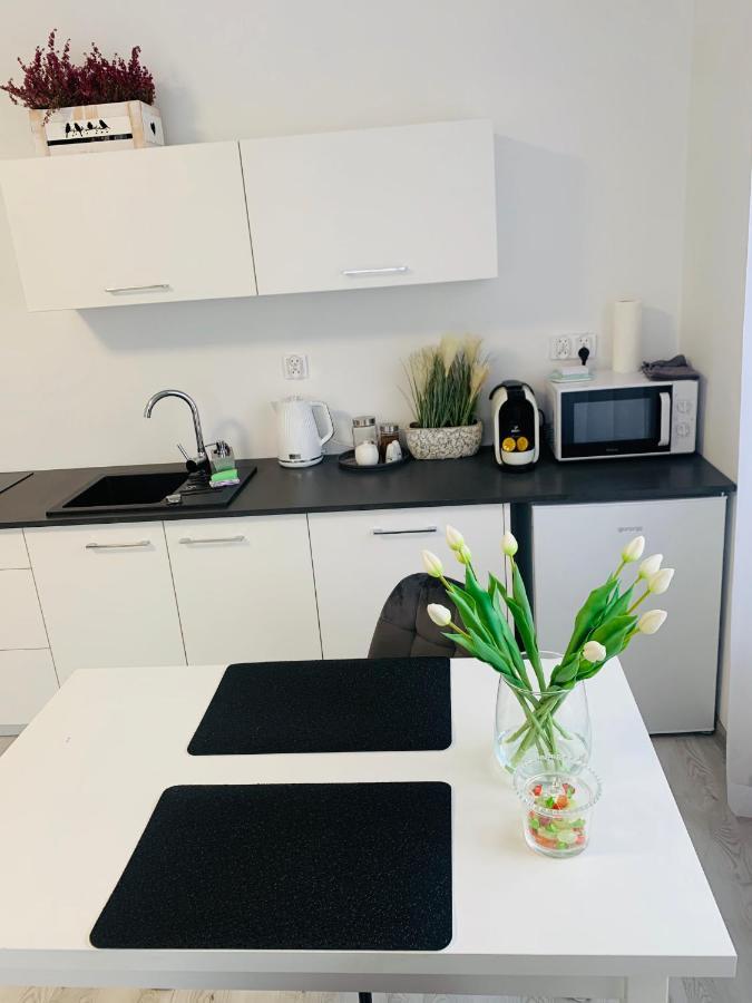 Apartament Walczaka 4 Gorzów Wielkopolski Kültér fotó